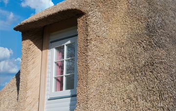 Moolham thatch roof disadvantages
